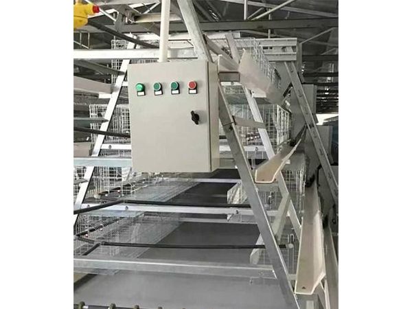 蛋雞清糞機(jī)