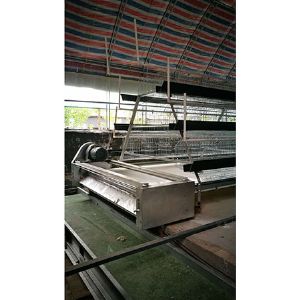 蛋雞清糞機(jī)