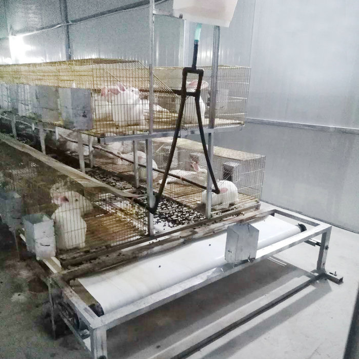 兔用自動清糞機(jī) (9).jpg