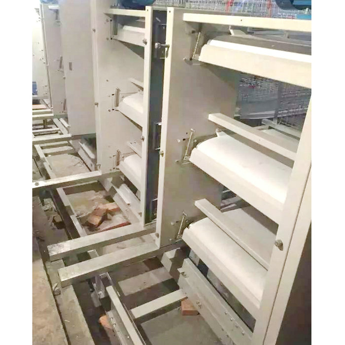 肉雞全自動清糞機 (8).jpg