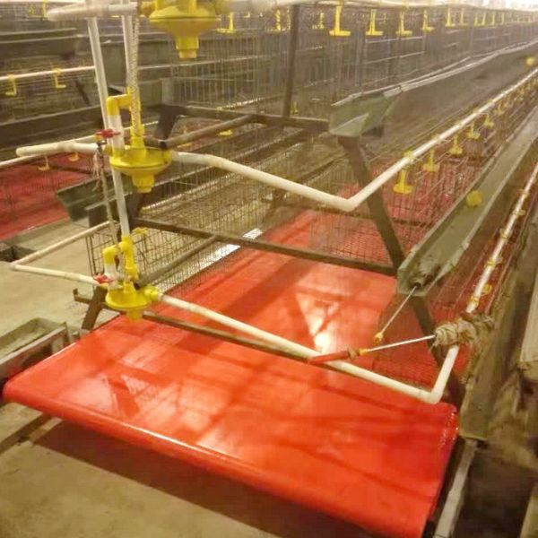 PVC帶蛋雞清糞機(jī)