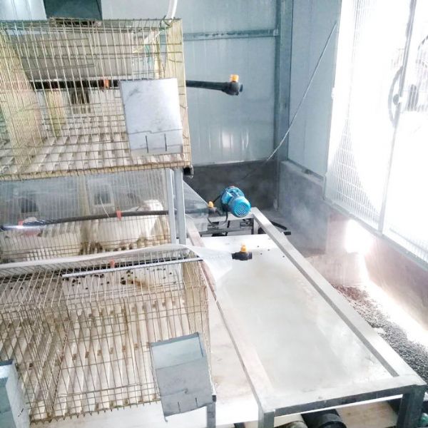 兔用自動(dòng)清糞機(jī)