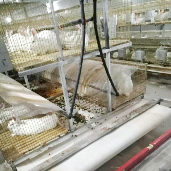 兔用自動(dòng)清糞機(jī)