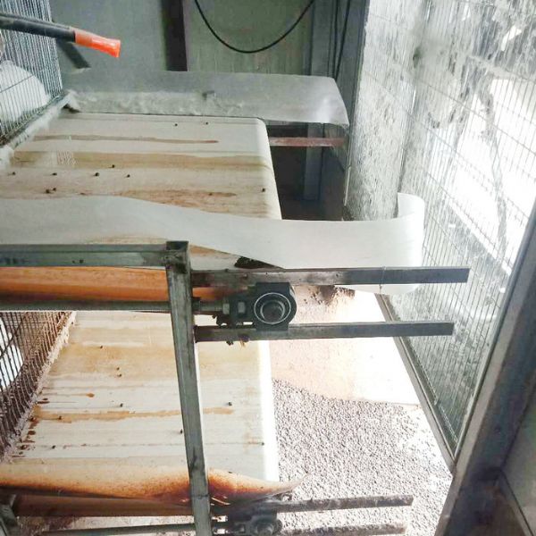 兔用自動(dòng)清糞機(jī)