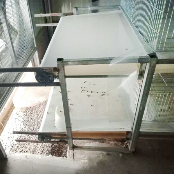 兔用自動(dòng)清糞機(jī)