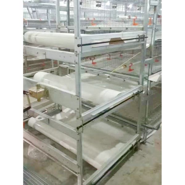 肉雞全自動清糞機