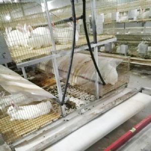 兔用自動清糞機