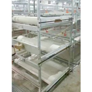 肉雞全自動清糞機