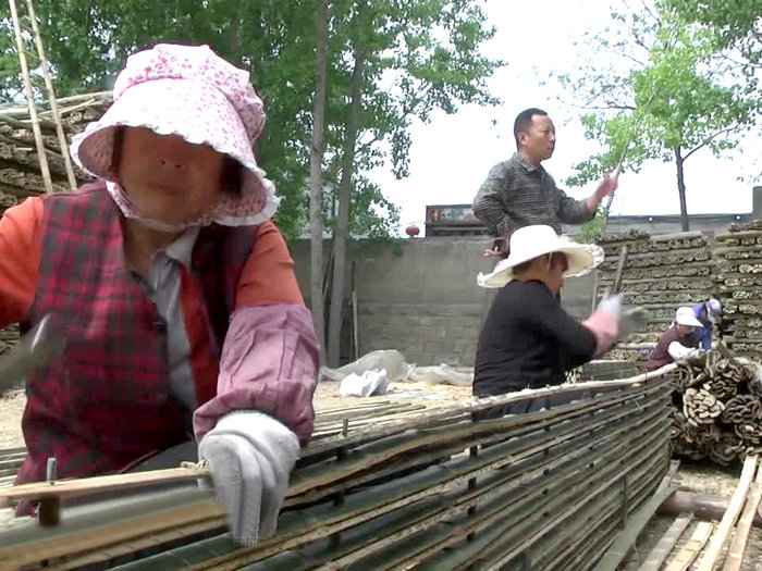 廠房廠景 (3).jpg