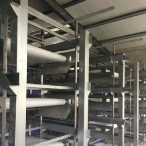 肉雞全自動清糞機